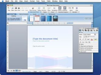 MS Office 2008  Mac   -