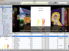  Apple iTunes 7.3.2