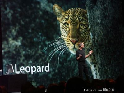 Leopard   