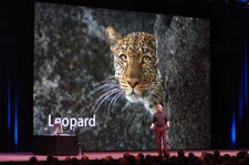 Leopard -    2007