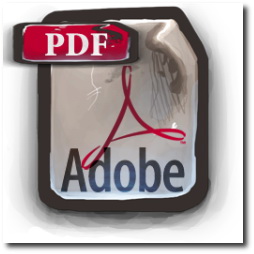        Adobe