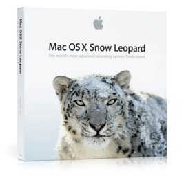 Snow Leopard