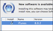   iTunes 8.0.2