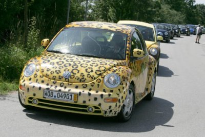 Volkswagen Beatle   Leopard