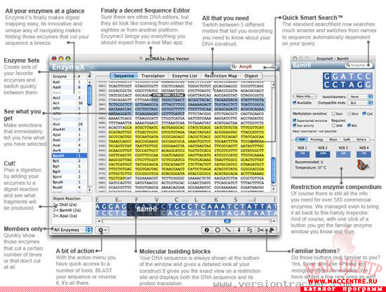 EnzymeX 3.1  Mac OS X - , 